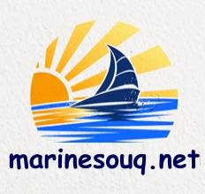 An online market in marine field